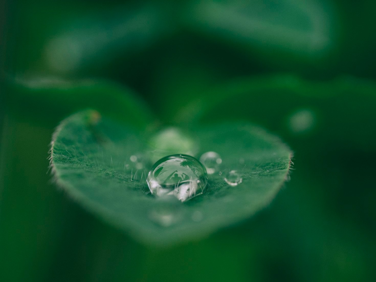 Innovazione verde: elastomeri derivati da prodotti naturali